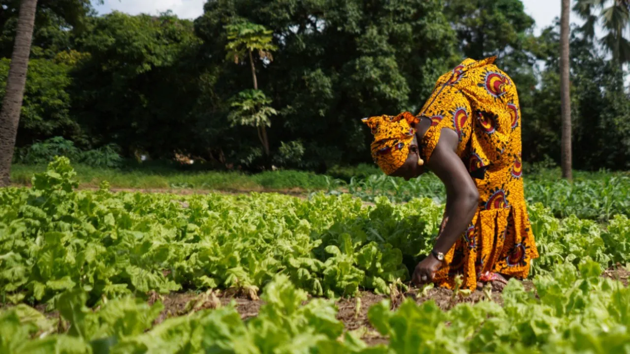 Crop Protection